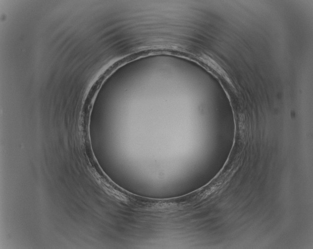 X0000073521068200608211759