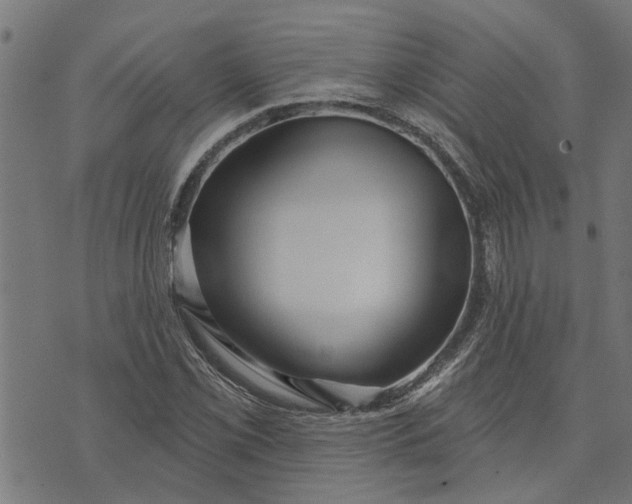 X0000073521069200608211759