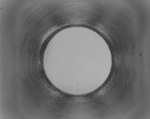 X0000073521070200608211759