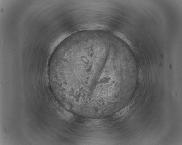 X0000073521071200608211759