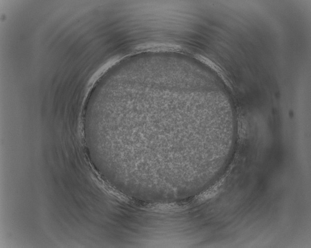 X0000073521074200608211759