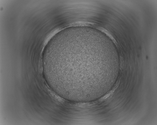 X0000073521075200608211759