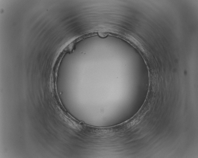 X0000073521076200608211759