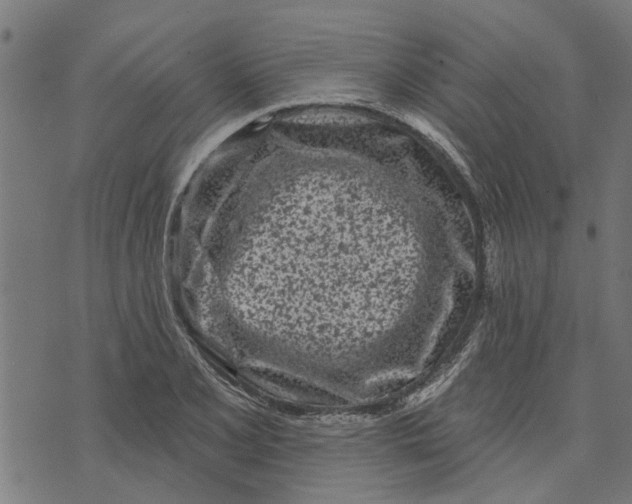 X0000073521077200608211759