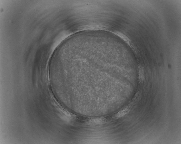 X0000073521078200608211759