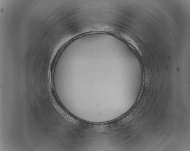 X0000073521080200608211759