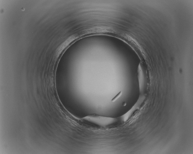 X0000073521081200608211759