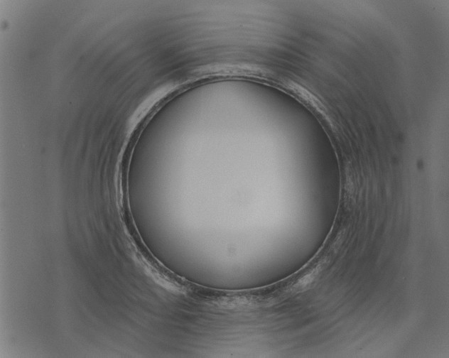 X0000073521082200608211758