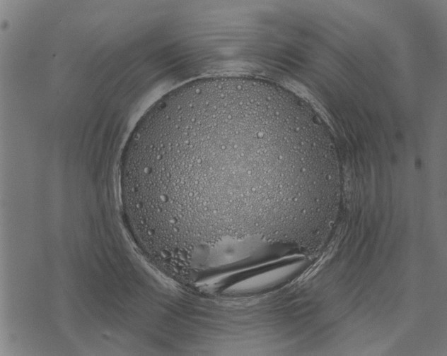 X0000073521083200608211758