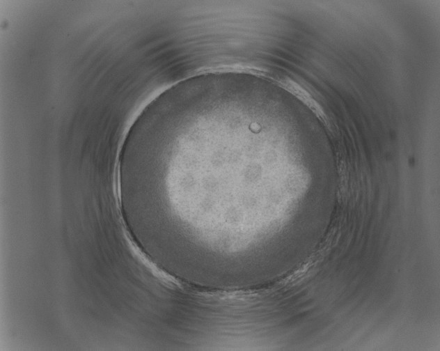 X0000073521084200608211758