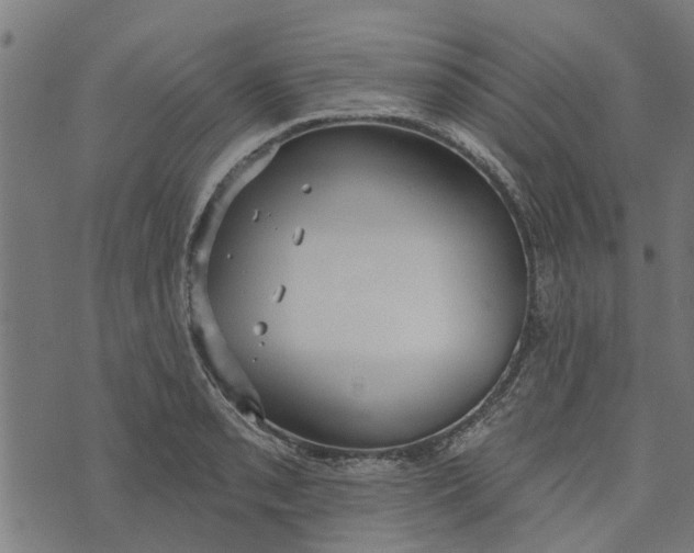 X0000073521085200608211758