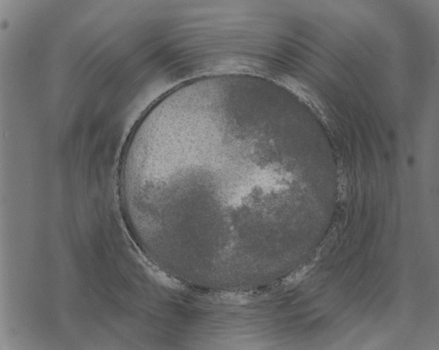 X0000073521086200608211758