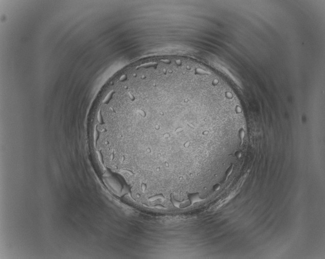 X0000073521087200608211758