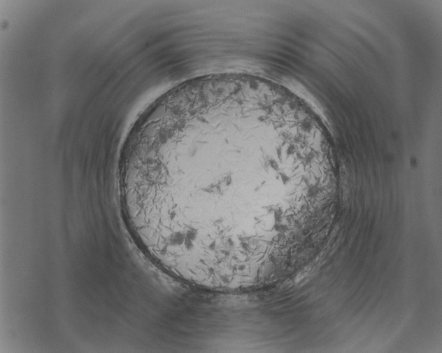 X0000073521088200608211758