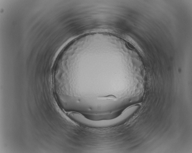 X0000073521092200608211758