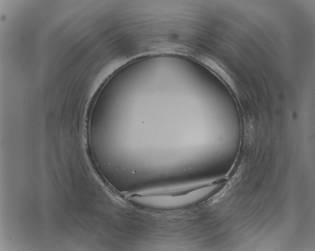 X0000073521093200608211758