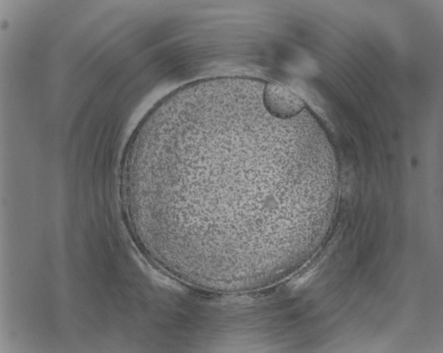 X0000073521094200608211758