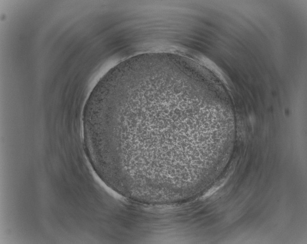 X0000073521095200608211758