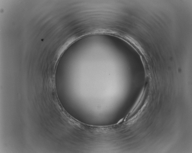 X0000073521097200608211758