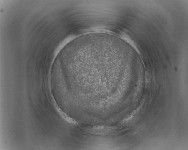 X0000073521098200608211758