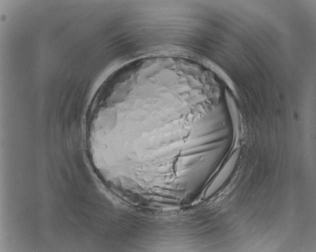 X0000073521099200608211758