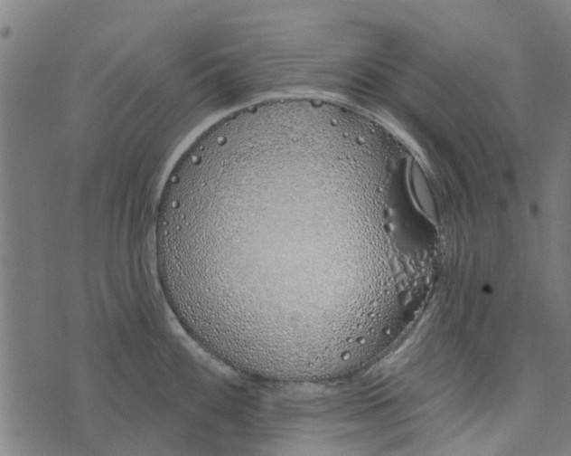 X0000073521100200608211758