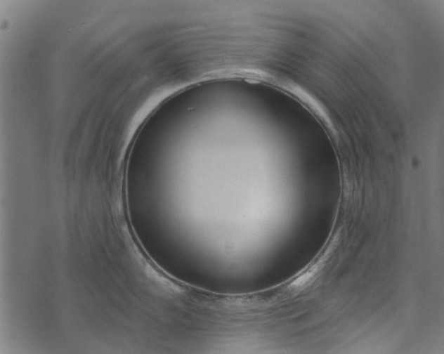 X0000073521102200608211758