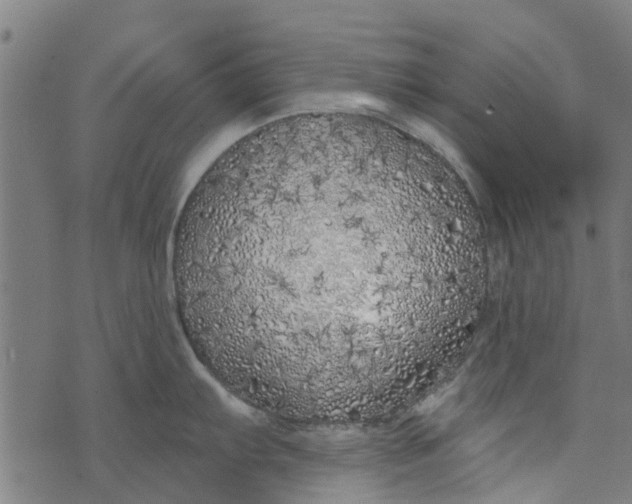 X0000073521103200608211758