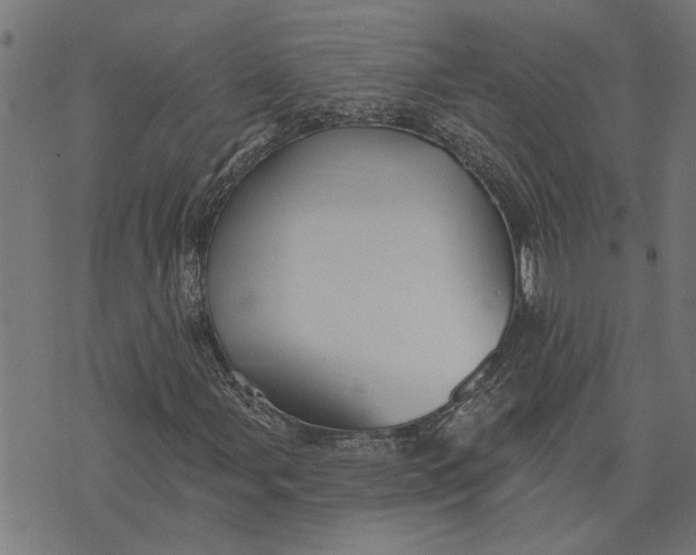 X0000073521107200608211757