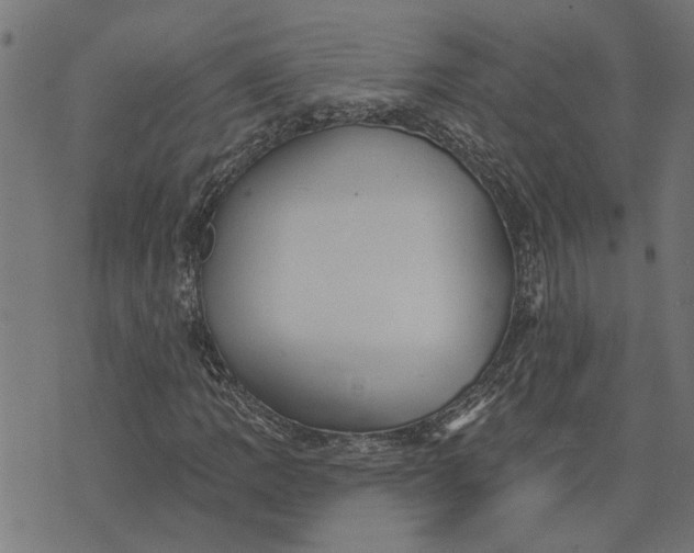 X0000073521109200608211757