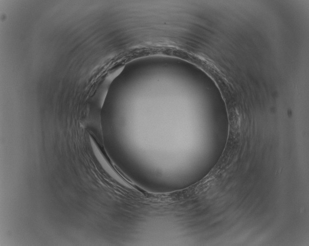 X0000073521110200608211757