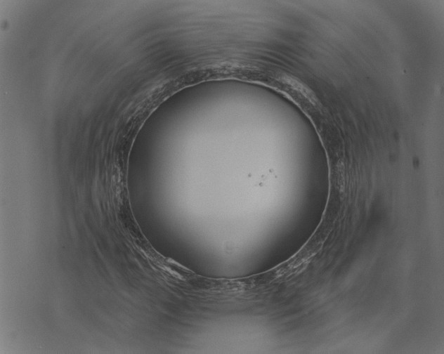 X0000073521111200608211757