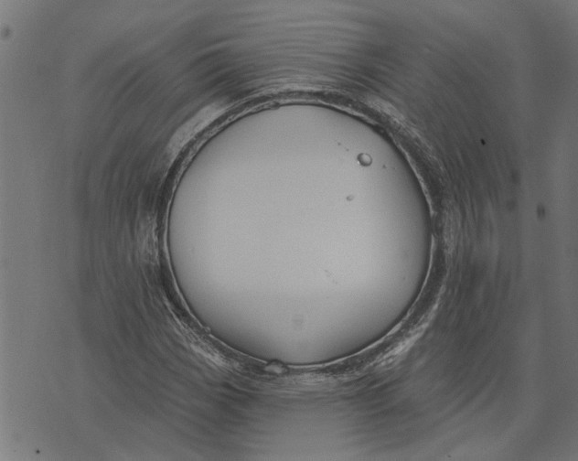 X0000073521113200608211757