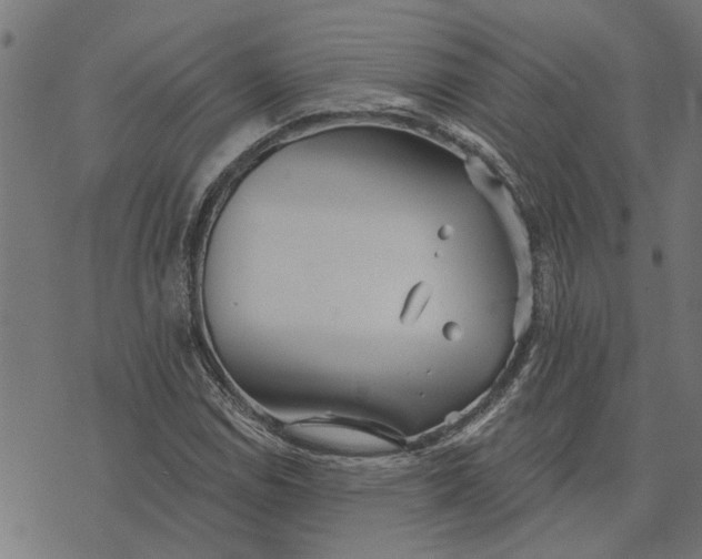 X0000073521114200608211758