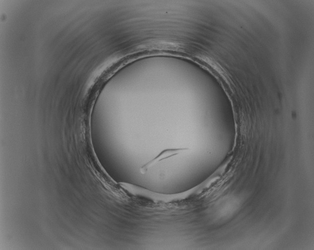 X0000073521115200608211758