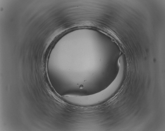 X0000073521116200608211758