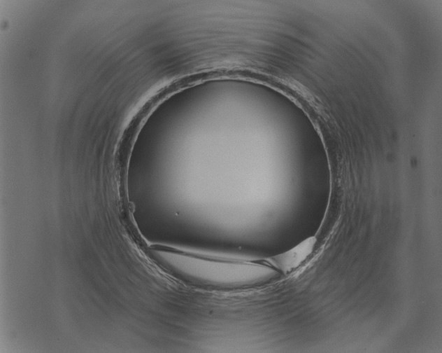 X0000073521118200608211758