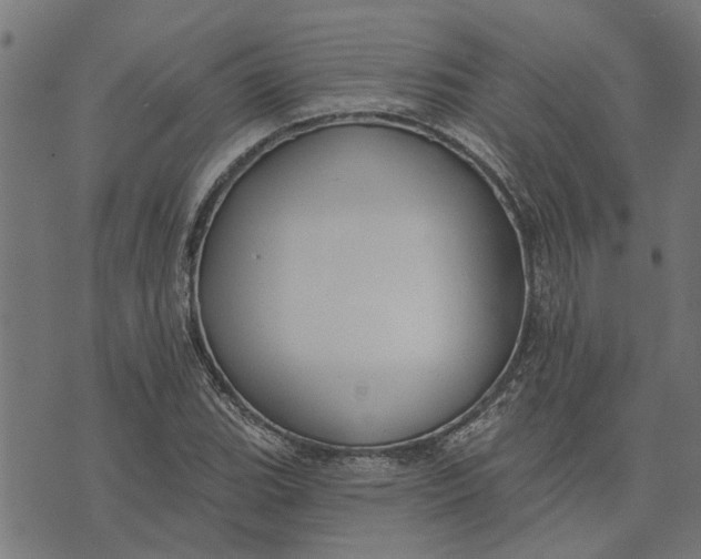 X0000073521119200608211758