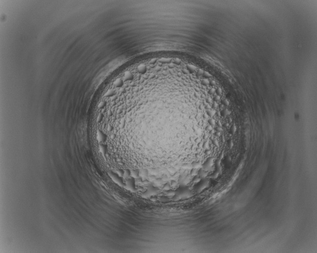 X0000073521121200608211758