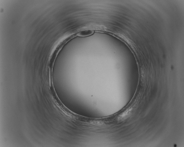 X0000073521123200608211758