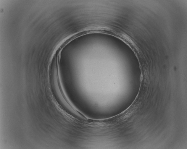 X0000073521124200608211758