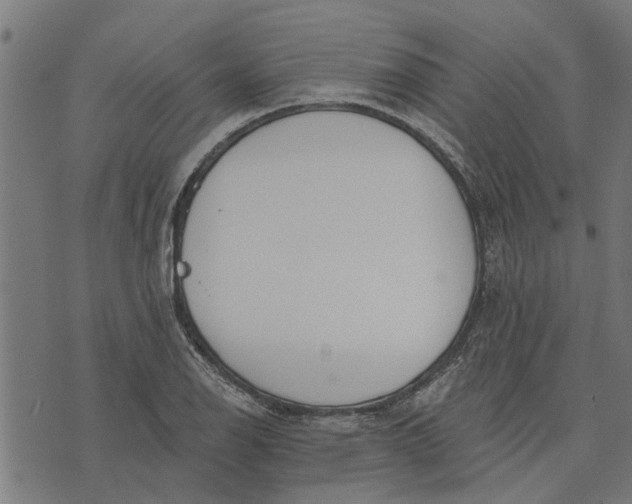 X0000073521126200608211758