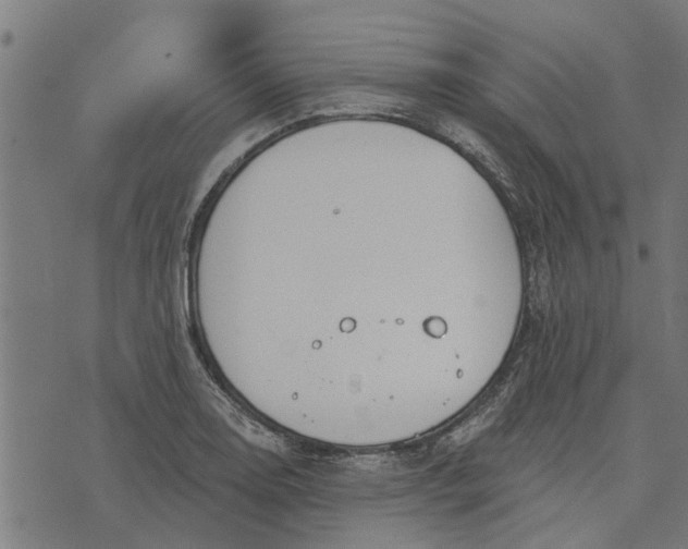 X0000073521130200608211758