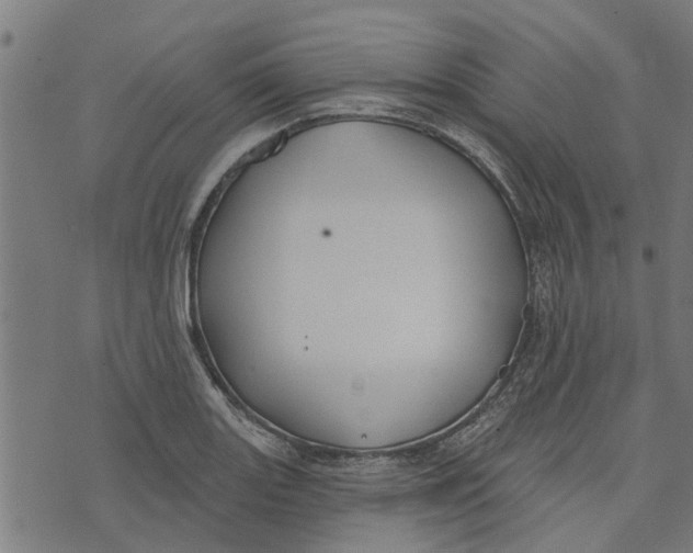 X0000073521131200608211758