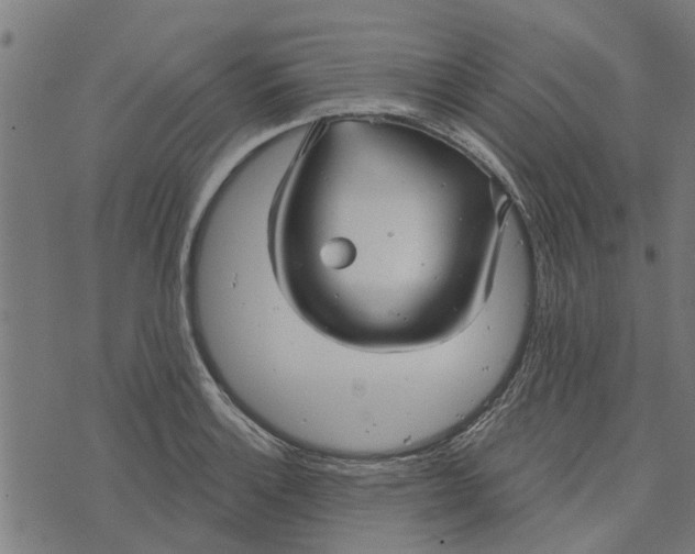 X0000073521132200608211758