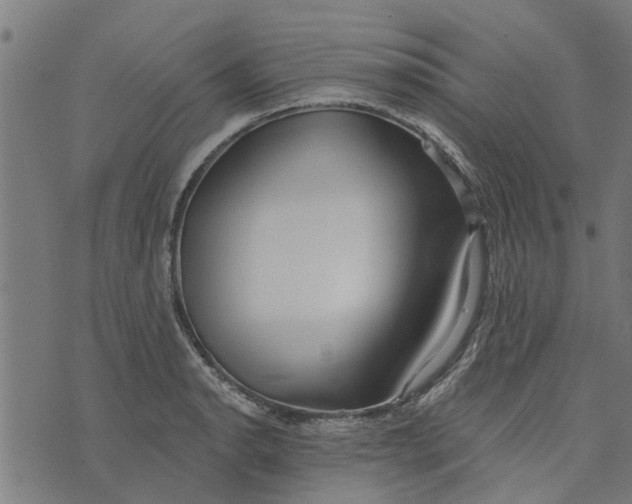 X0000073521134200608211758