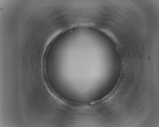 X0000073521135200608211758