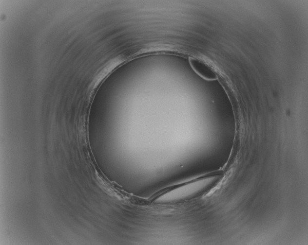 X0000073521137200608211758