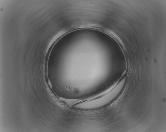 X0000073521138200608211758