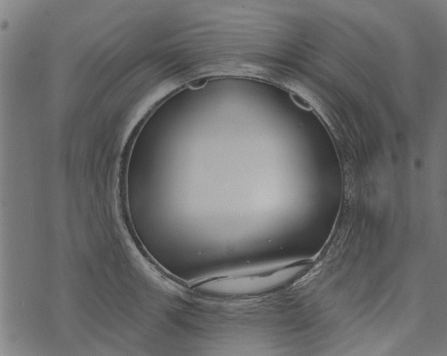 X0000073521139200608211758